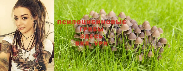 круглые Алексин