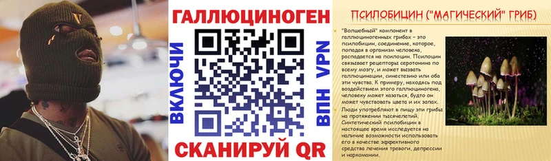 сколько стоит  Чаплыгин  kraken ССЫЛКА  Псилоцибиновые грибы прущие грибы 